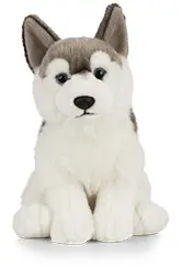 Bashful Zebra, 31cm - Jellycat