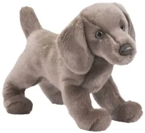 Weimaraner, 40cm - Douglas tøjdyr