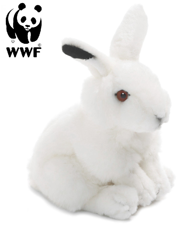 Vinterhare - WWF (Verdensnaturfonden)