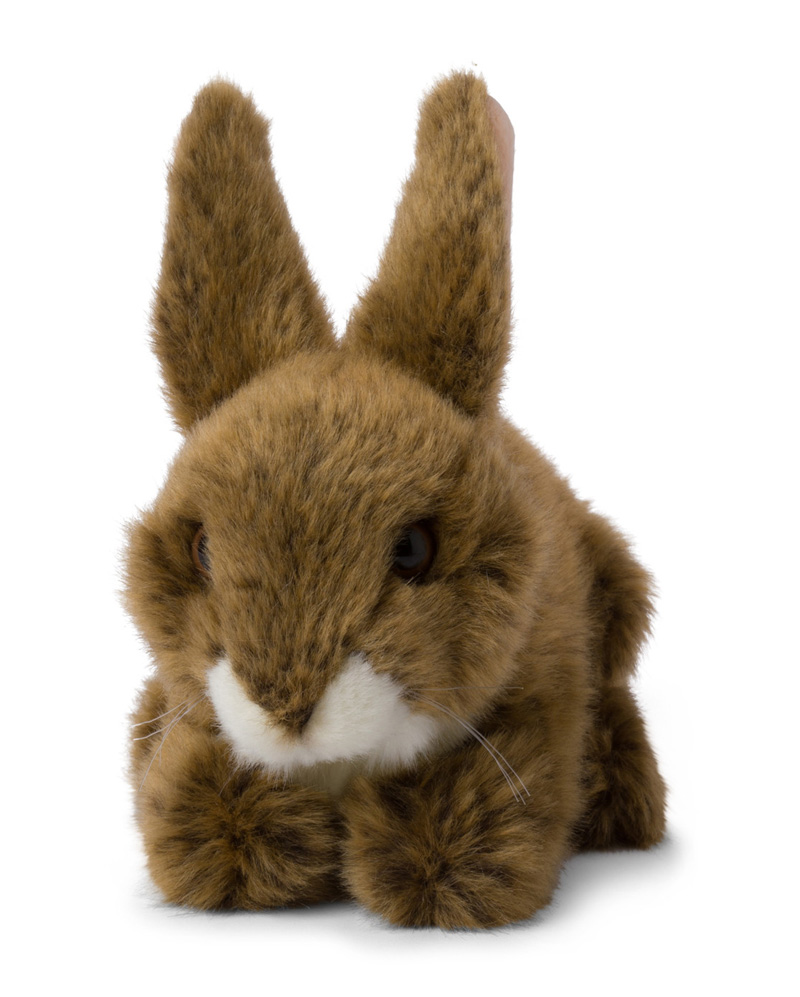 WWF (Världsnaturfonden) Snehare / hareunge – WWF (Verdensnaturfonden)