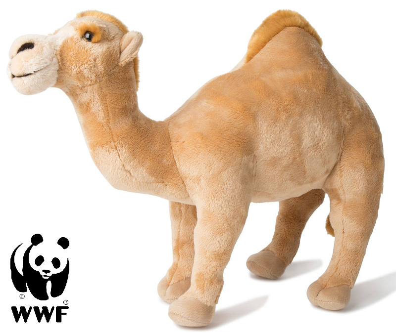 WWF (Världsnaturfonden) Dromedar - WWF (Verdensnaturfonden)