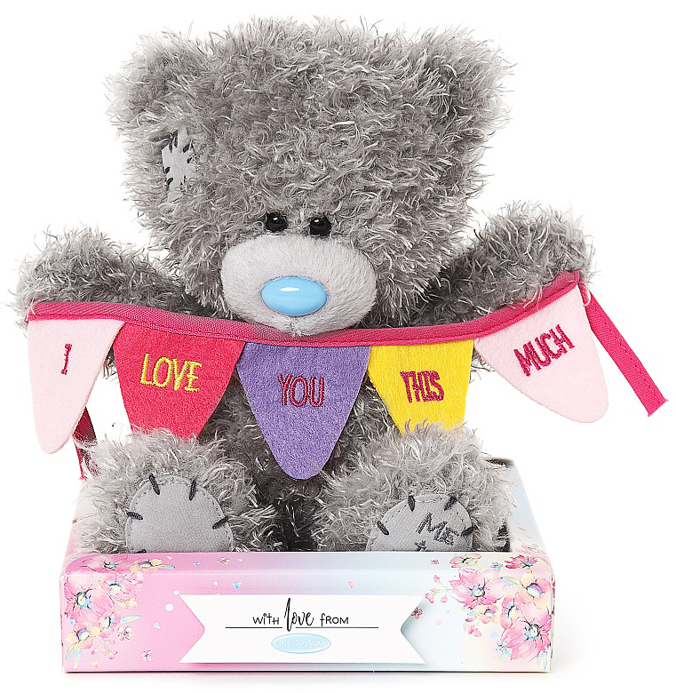 Bamse I love you this much på banner, 15cm - Me To You