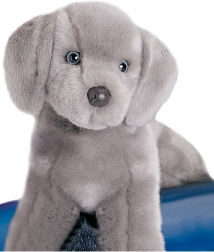 Weimaraner, 40cm - Douglas tøjdyr