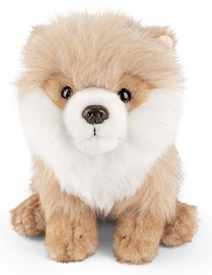 Pomeranian bamse