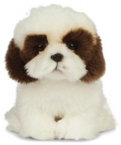 Bashful Zebra, 31cm - Jellycat