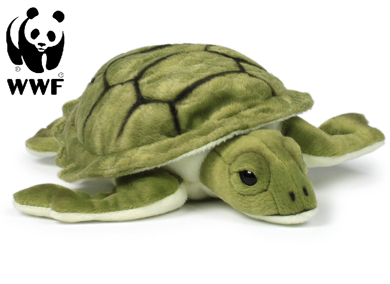 Skildpadde - WWF (Verdensnaturfonden)