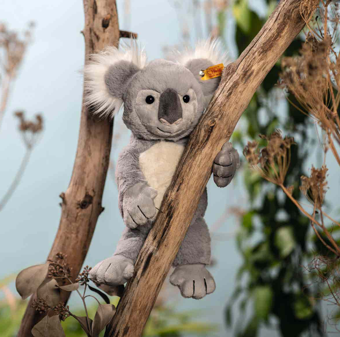 Steiff Koala Nils, Soft Cuddly Friends - Steiff