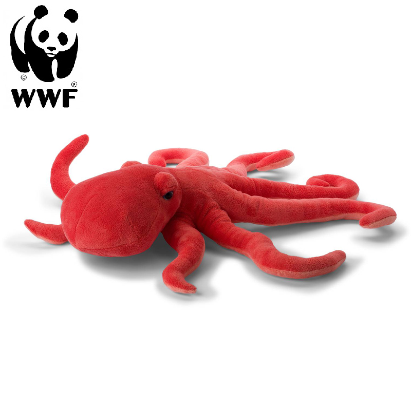 Stor blæksprutte - WWF (Verdensnaturfonden)