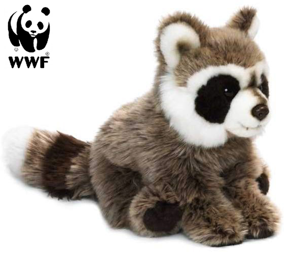 Vaskebjørn - WWF (Verdensnaturfonden)