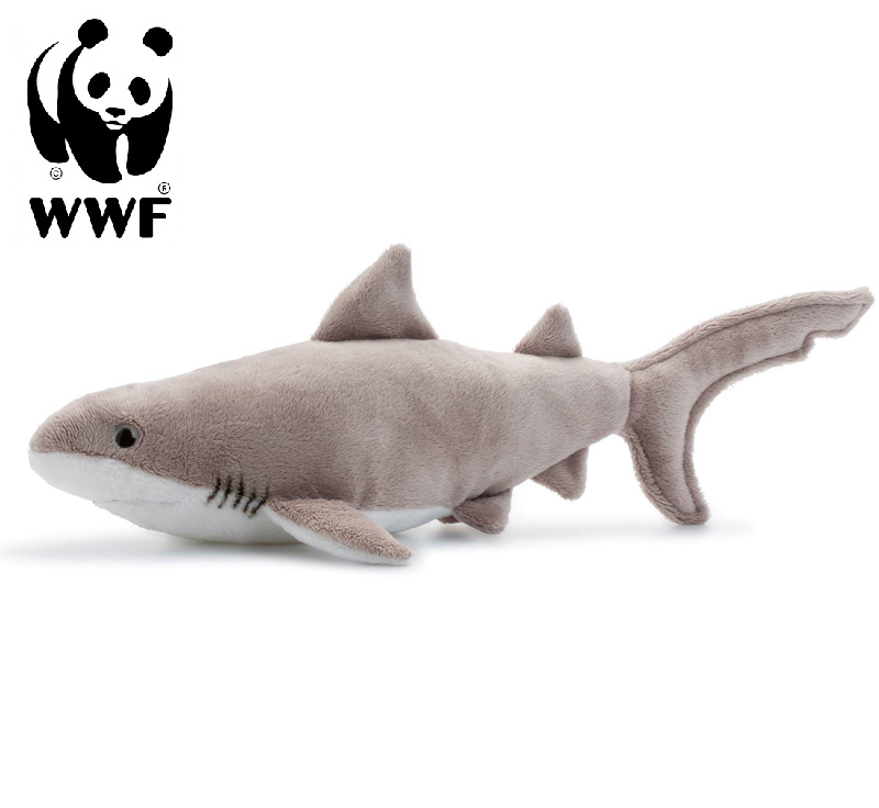 Hvid haj - WWF (Verdensnaturfonden)