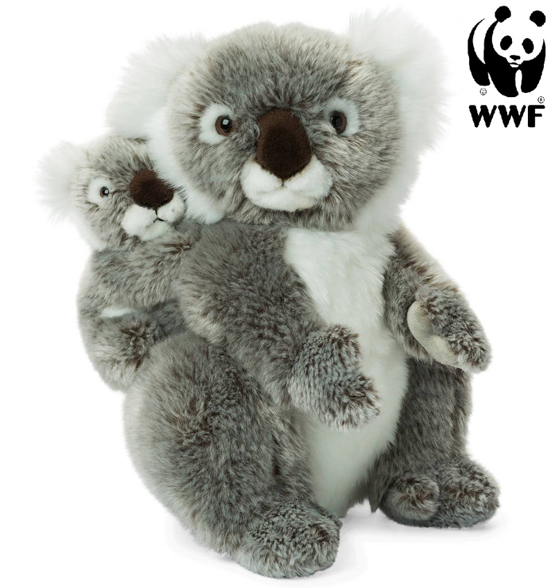 Koala med baby - WWF (Verdensnaturfonden)
