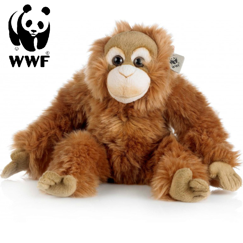 Orangutang - WWF (Verdensnaturfonden)