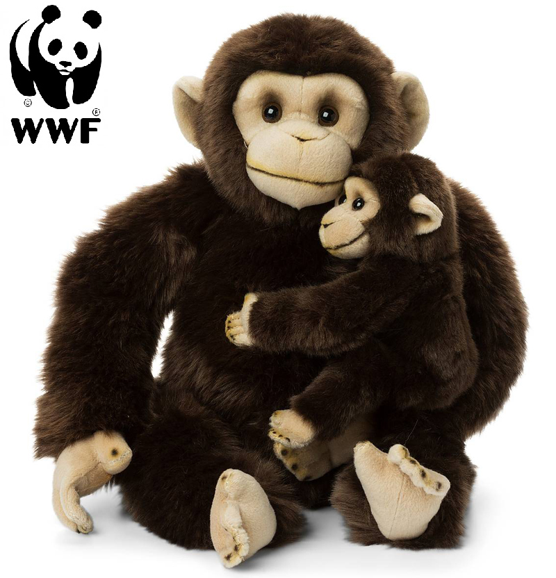 WWF (Vrldsnaturfonden) Chimpanse med baby - WWF (Verdensnaturfonden)